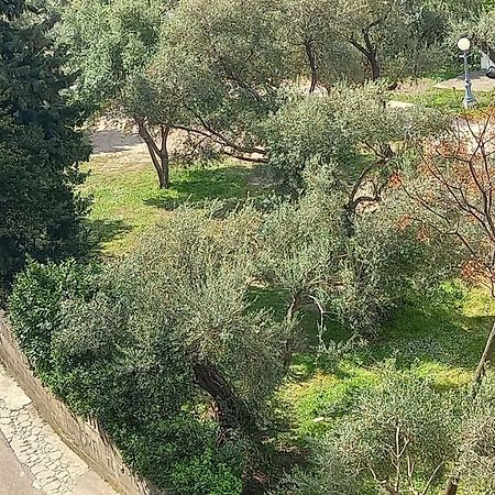 Solaris Apartments Budva Dış mekan fotoğraf